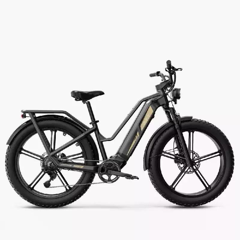top 10 e bikes under 1 009 TItan 2